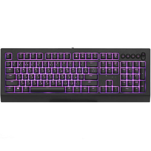 Купить Клавиатура проводная Razer Cynosa V2 [RZ03-03400700-R3R1] в ...