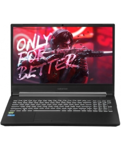 Купить 15.6" Ноутбук Maibenben X556 черный в Техноленде