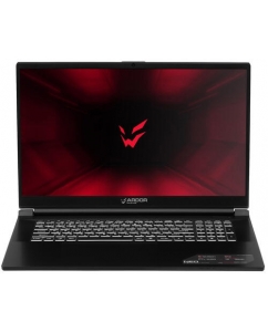 Купить 17.3" Ноутбук ARDOR GAMING NEO G17-I5ND301 черный в Техноленде