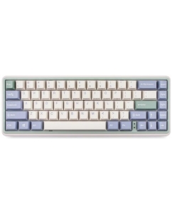 Купить Клавиатура проводная+беспроводная Varmilo VXB67 Eucalyptus [A40A046C2A3A01A039/D] в Техноленде
