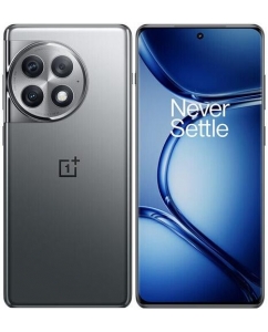 Купить 6.74" Смартфон OnePlus Ace 2 Pro 512 ГБ серый в Техноленде