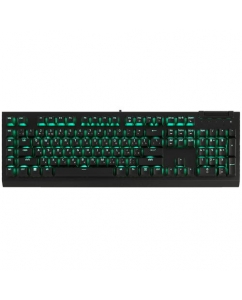 Купить Клавиатура проводная Razer BlackWidow V4 X [RZ03-04700800-R3R1] в Техноленде