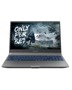 Купить 15.6" Ноутбук Maibenben X565 серый в Техноленде