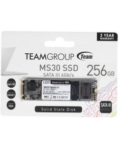 Купить 256 ГБ SSD M.2 накопитель Team Group MS30 [TM8PS7256G0C101] в Техноленде