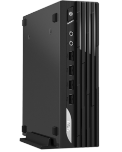 Купить Мини ПК MSI PRO DP21 13M-861RU [9S6-B0A421-861] в Техноленде