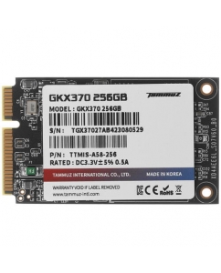 Купить 256 ГБ MSATA накопитель Tammuz GKX370 [TGX37256A58] в Техноленде