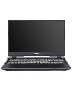 Купить 15.6" Ноутбук Colorful EVOL P15 24 серый в Техноленде