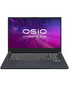 Купить 17.3" Ноутбук OSiO CyberLine C170i-002 серый в Техноленде