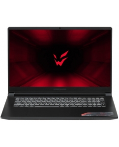 Купить 17.3" Ноутбук ARDOR Gaming RAGE R17-I5ND403 черный в Техноленде