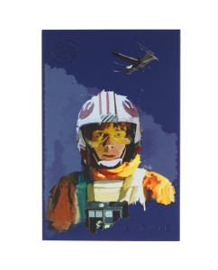 Купить 2 ТБ Внешний HDD Seagate FireCuda Luke Skywalker Special Edition [STKL2000412] в Техноленде