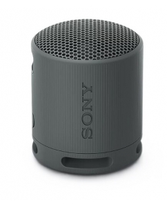 Купить Портативная колонка Sony SRS-XB100, черный в Техноленде