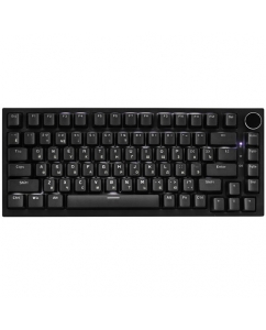 Купить Клавиатура проводная AJAZZ AK820 [R5-AK820-1-WB-DIY-RS-B] в Техноленде