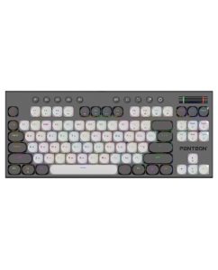 Купить Клавиатура проводная Panteon T20 PRO RS HS D [PANTEONT20PRORSHSD(54)] в Техноленде