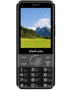 Купить Сотовый телефон Xenium X800 черный/серый в Техноленде