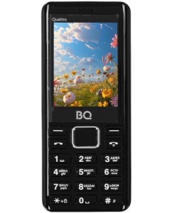 Купить Сотовый телефон BQ 2453 Quattro черный в Техноленде