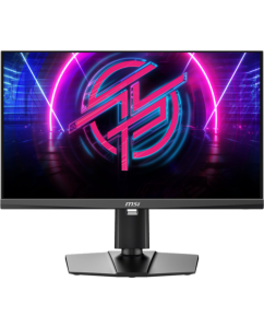 Купить 24.1" Монитор MSI MPG 242R X60N черный в Техноленде