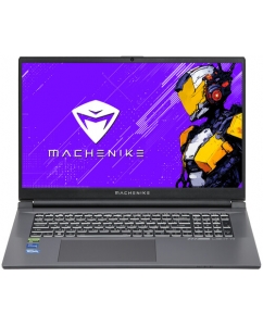 Купить 17.3" Ноутбук Machenike L17 Stellar M серебристый в Техноленде