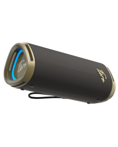 Купить Портативная колонка Fiero Lure Compatto FRPS-520, серый в Техноленде