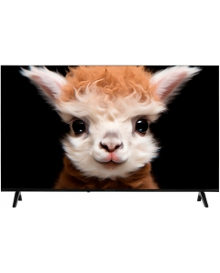 Купить 50" (127 см) Телевизор Topdevice TDTV50ES13U_BK черный в Техноленде