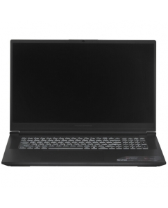 Купить 17.3" Ноутбук ARDOR GAMING EVO E17-I7ND501 черный в Техноленде