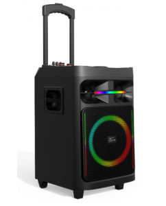 Купить Портативная колонка Fiero Maletas FRPA-200, черный в Техноленде