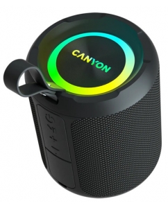 Купить Портативная колонка Canyon OnMove 11, черный в Техноленде