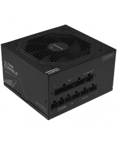 Купить Блок питания GIGABYTE UD1000GM PG5 V2 [28200-U10GB-1CEUR] черный в Техноленде