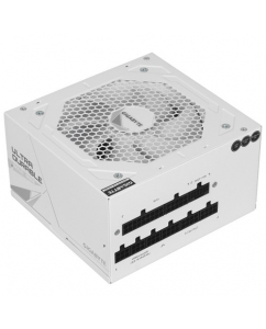Купить Блок питания GIGABYTE UD1000GM PG5 V2 ICE [28200-U10GI-1CEUR] белый в Техноленде