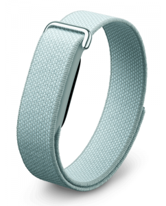 Купить Фитнес-браслет Google Fitbit Air в Техноленде