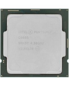 Купить Процессор Intel Pentium Gold G6605 OEM CM8070104291511 в Техноленде