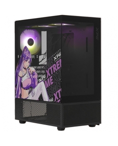 Купить Корпус XPG INVADER X MINI XENIA [INVADERXMINIXENIA-BKCWW] черный в Техноленде